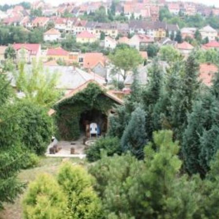 Borbarat Vendeghaz Villa Eger Exterior foto